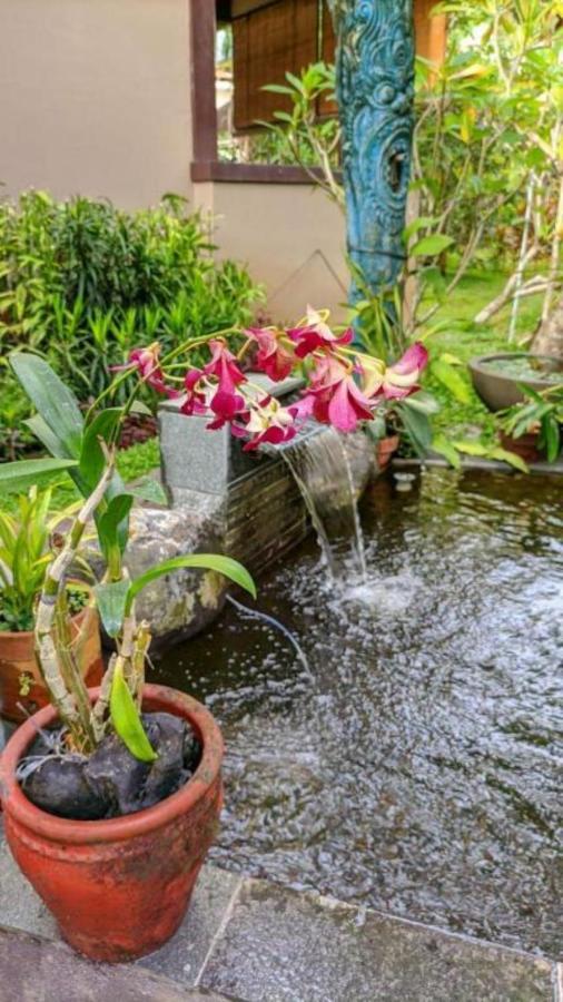 Indraprastha 2 Bungalow Ubud Eksteriør billede